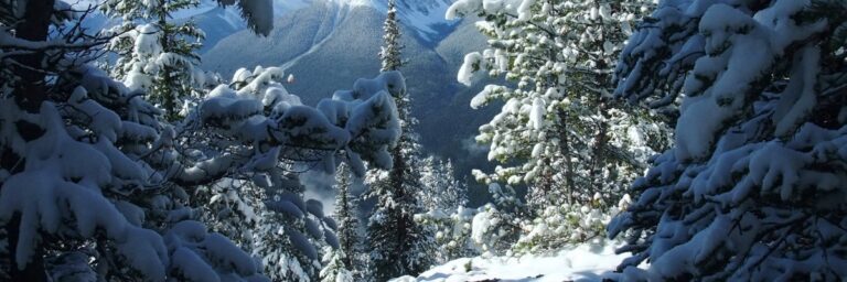 Winter Wonderland in Canada